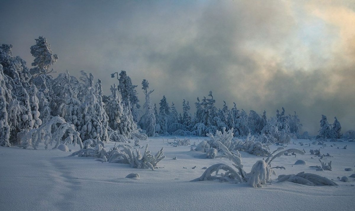 Ханты-Мансийск зимой