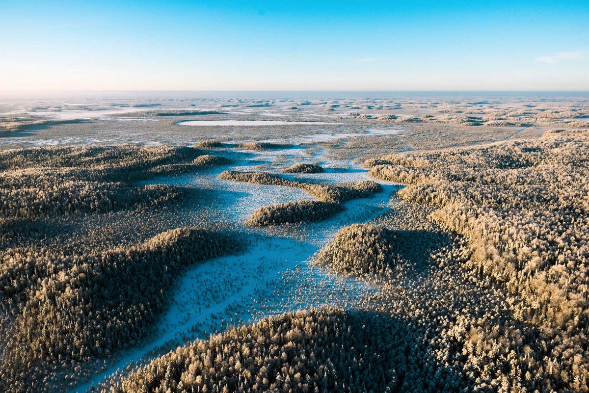 Природа Ханты Мансийска