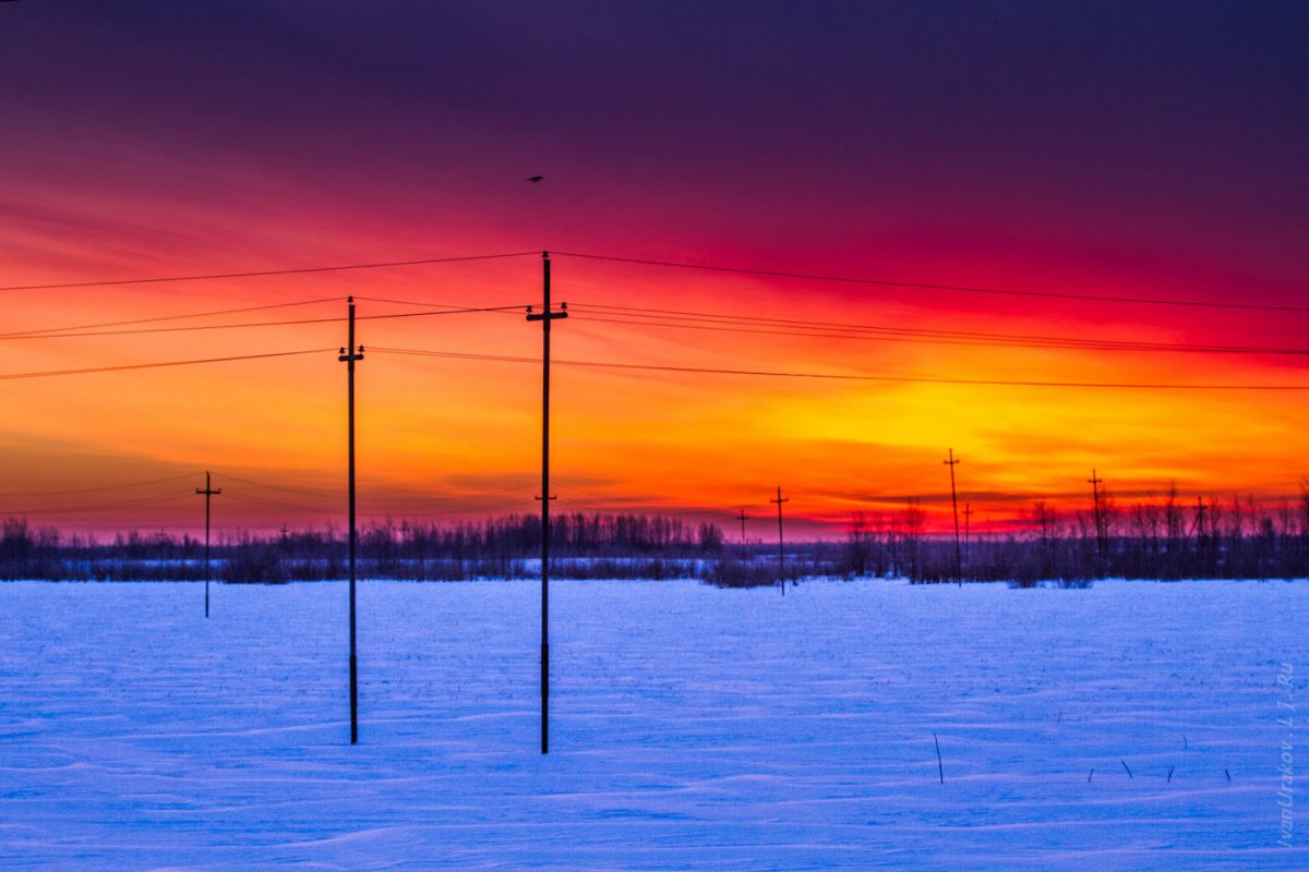 Тундра зимой