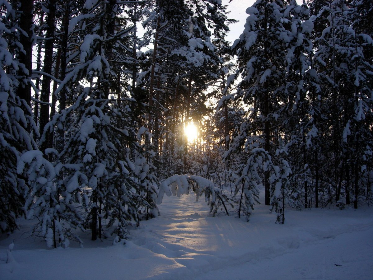 Природа ХМАО