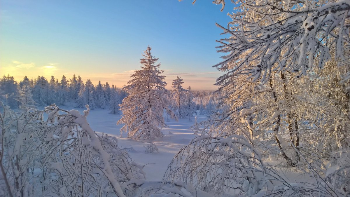 Климат ХМАО Югры