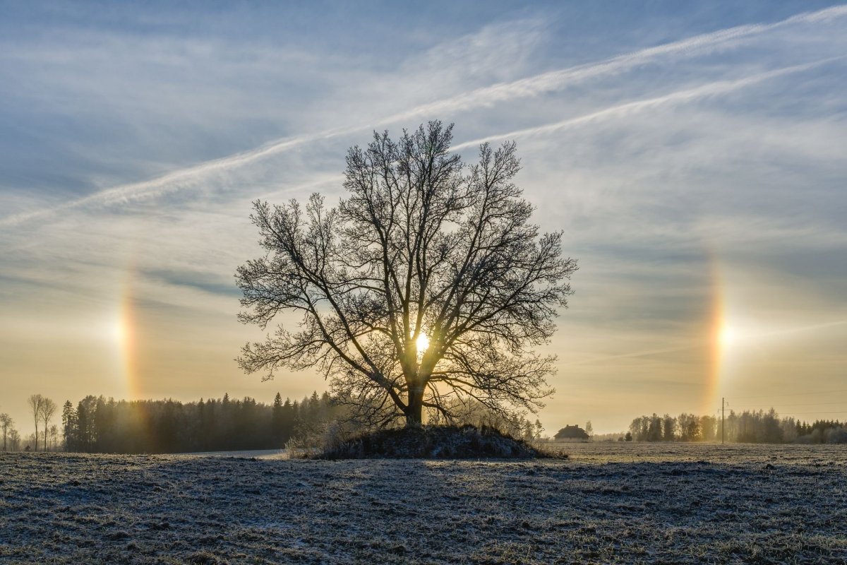 Гало явление природы
