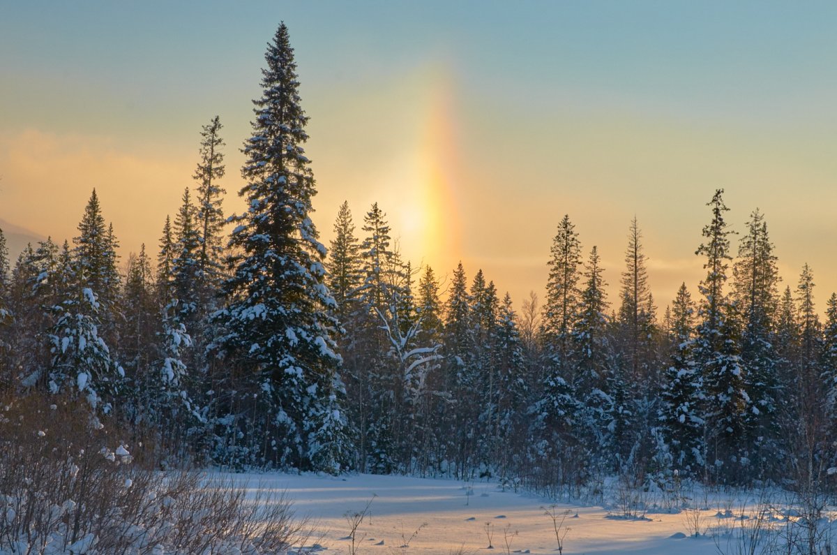 Бывает Радуга зимой
