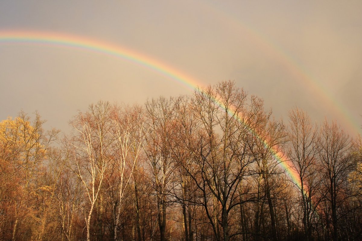 Тусклая Радуга