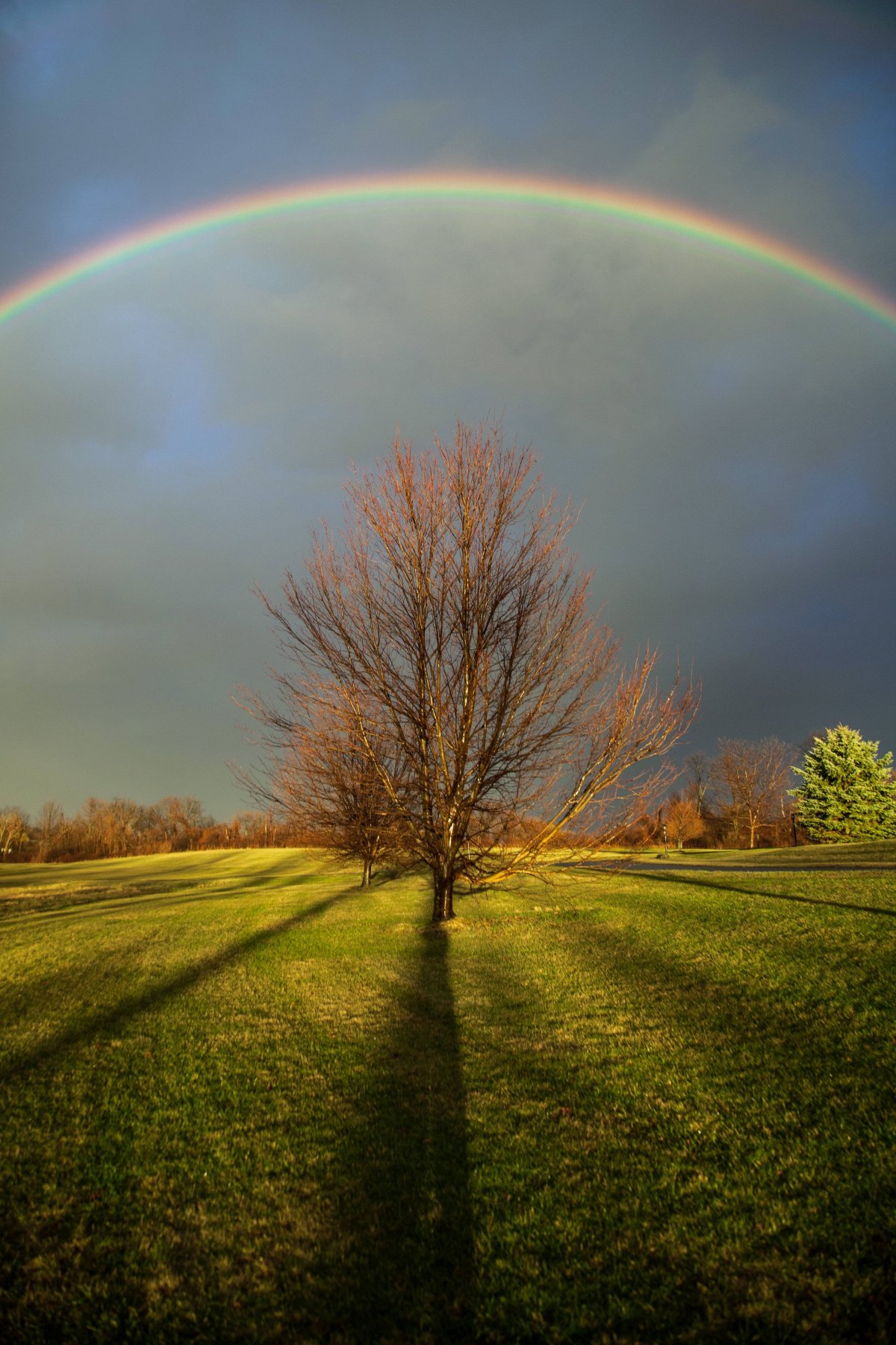 Бывает Радуга зимой