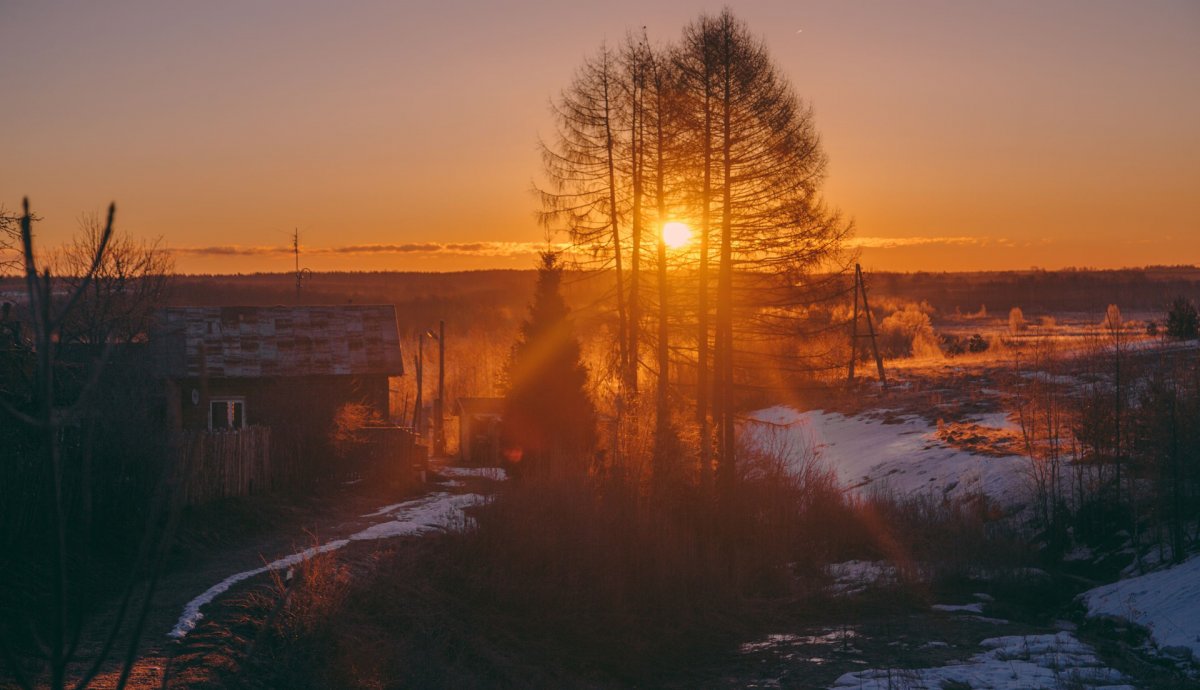 Декабрьское утро в деревне