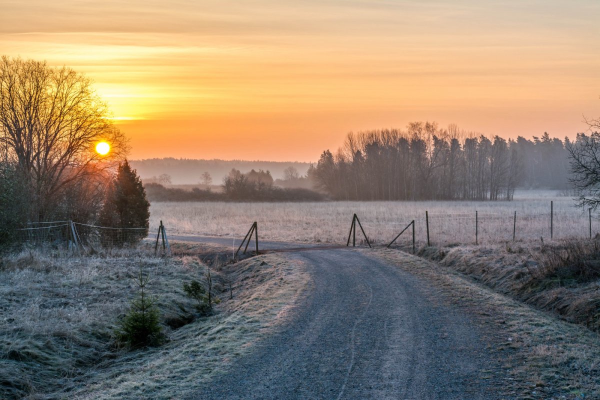 Зимний закат