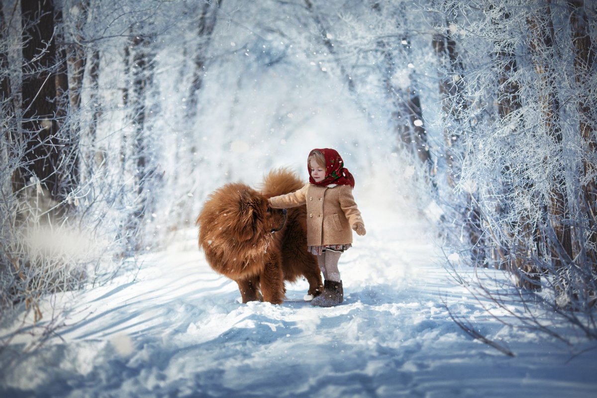 Зимняя сказка