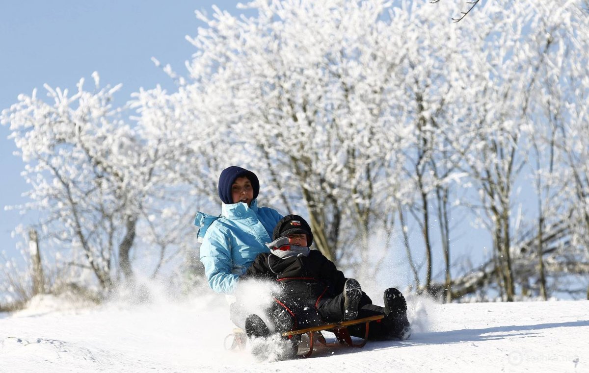 Зима снег санки