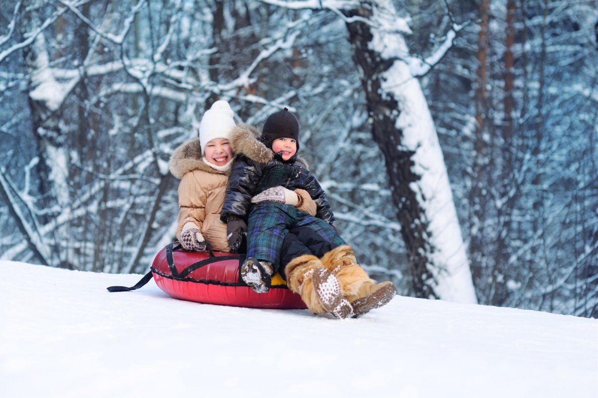 Катание с горки в лесу