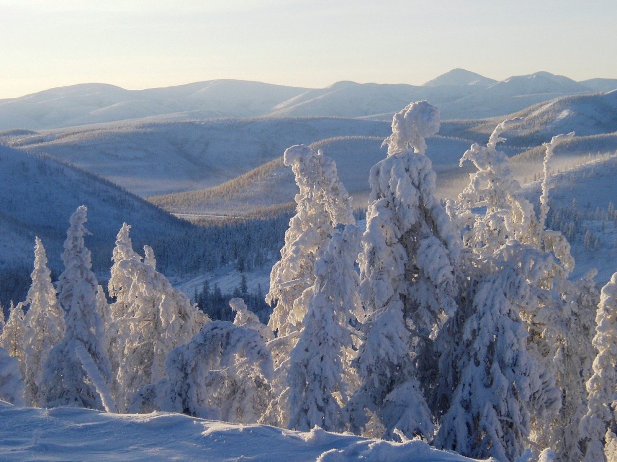 Молтянская скала Оймякон
