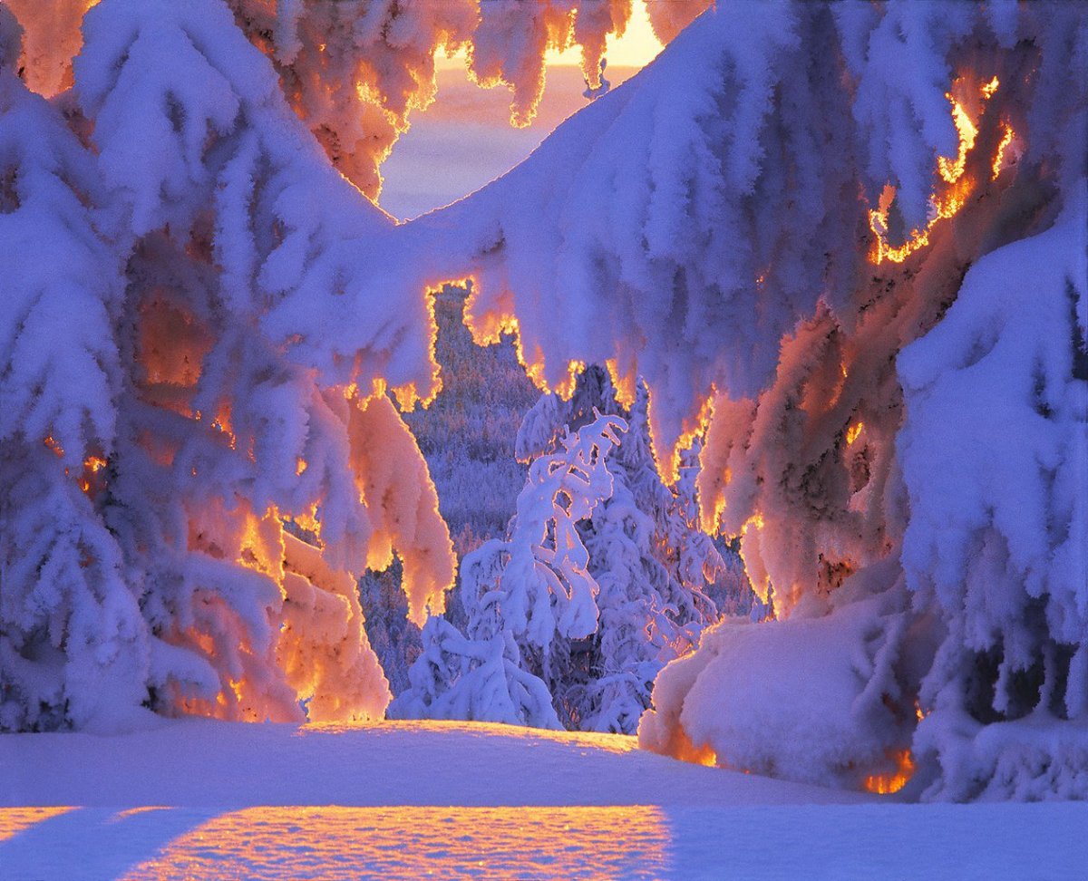 Якутия природа зима