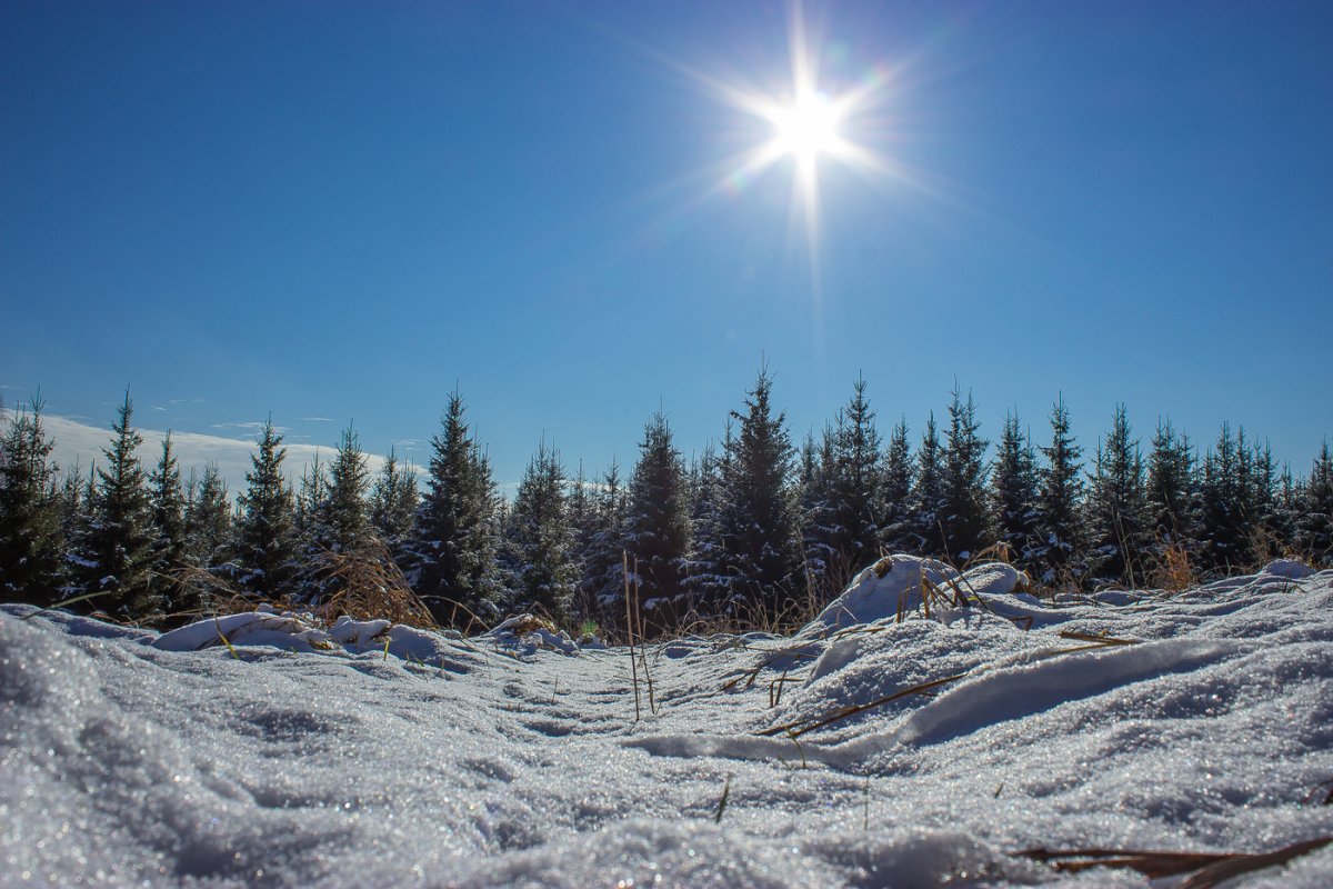 Сибирские зимние пейзажи