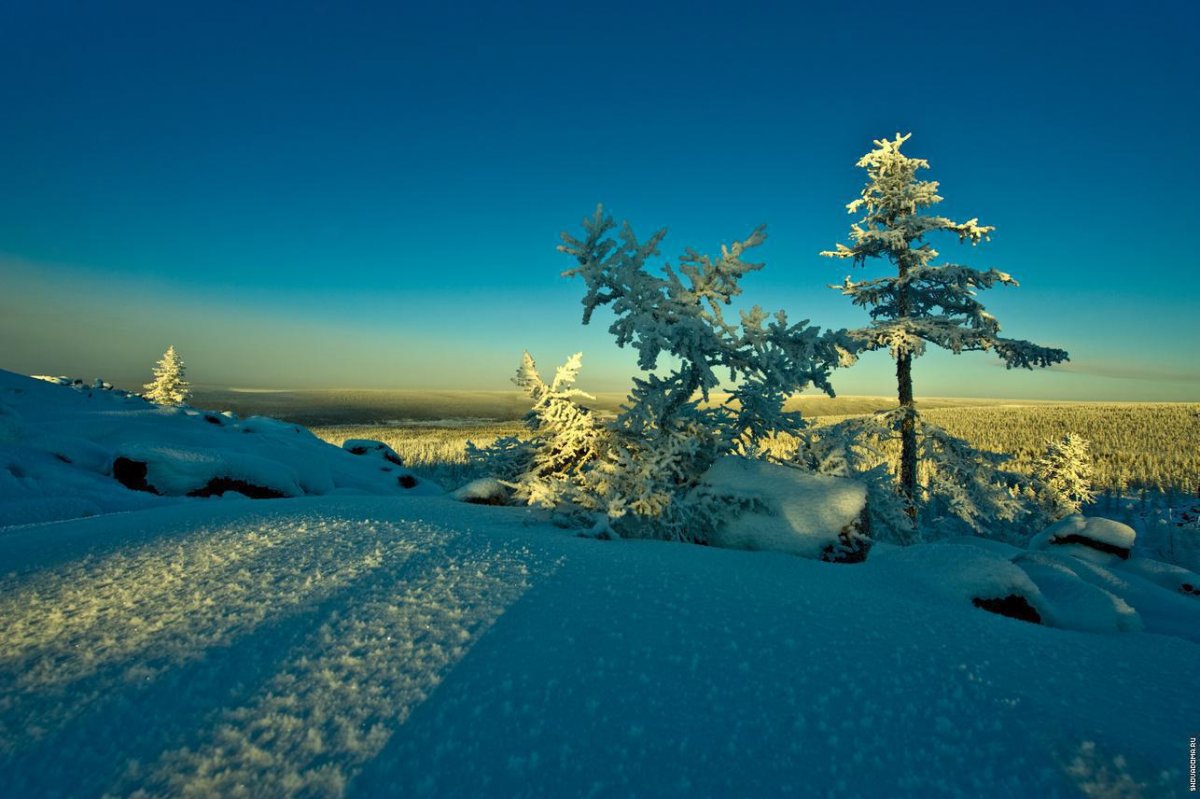 Природа севера зима