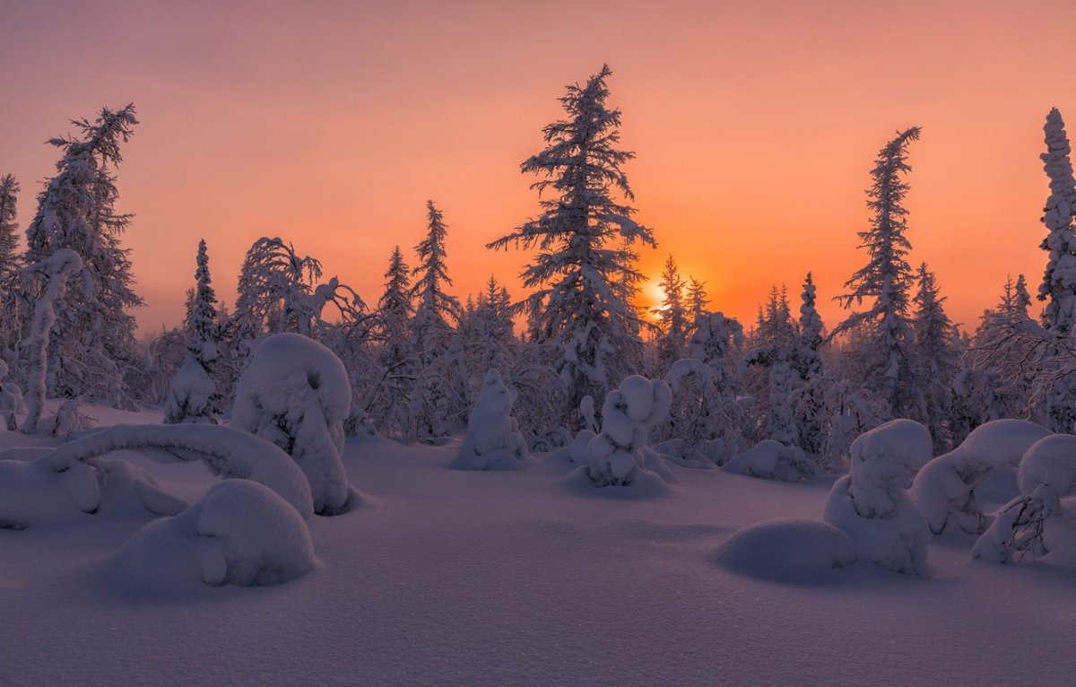 Зима в Сибири