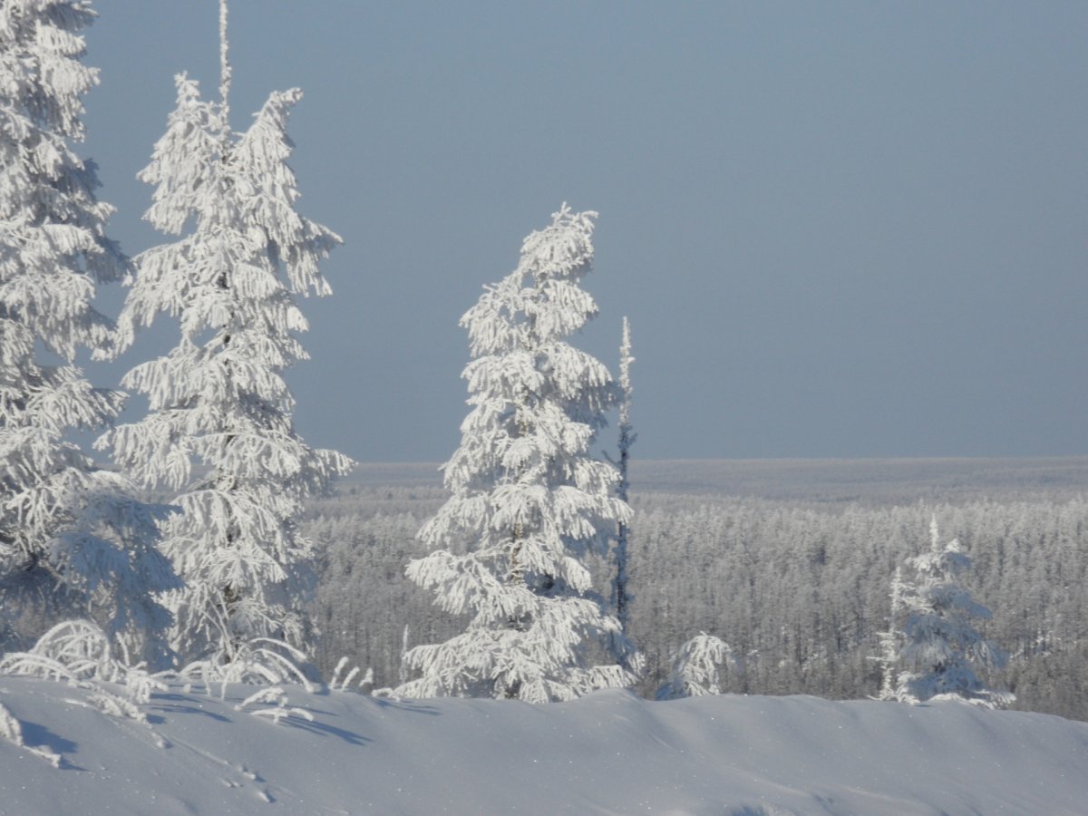Зима в Якутии