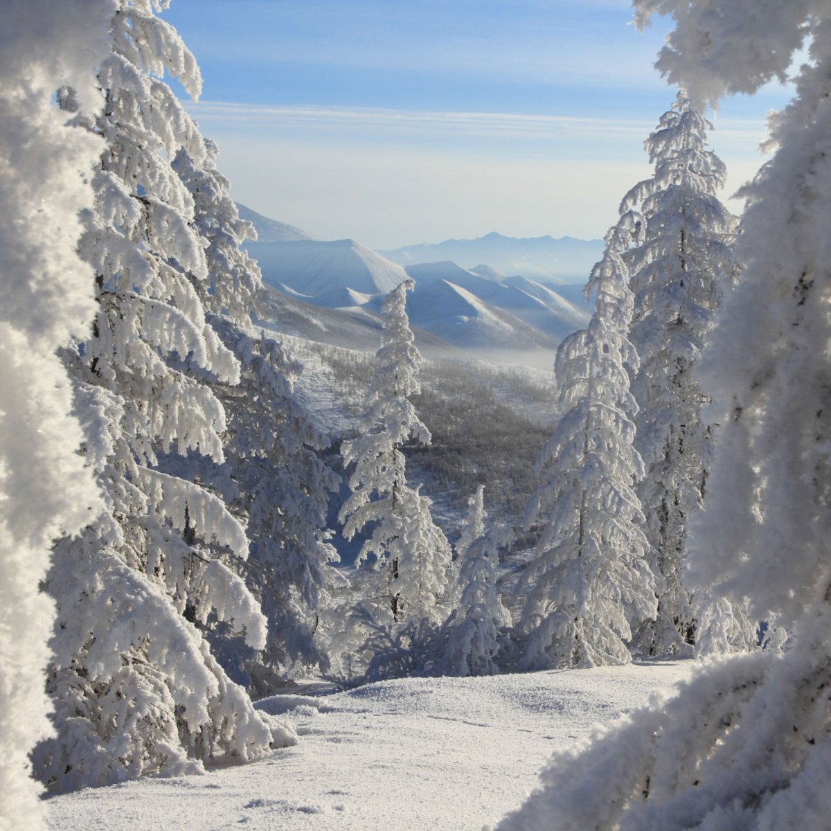 Оймякон полюс холода