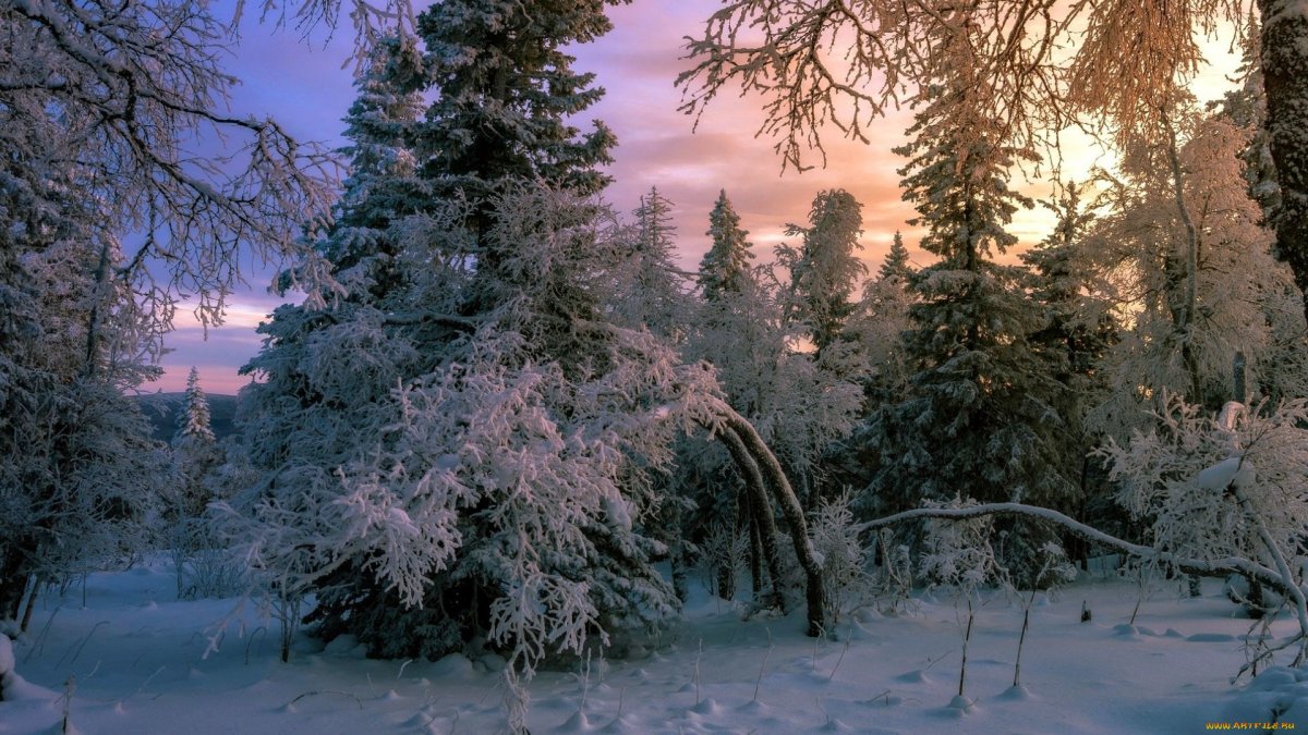 Сибирская природа зимой