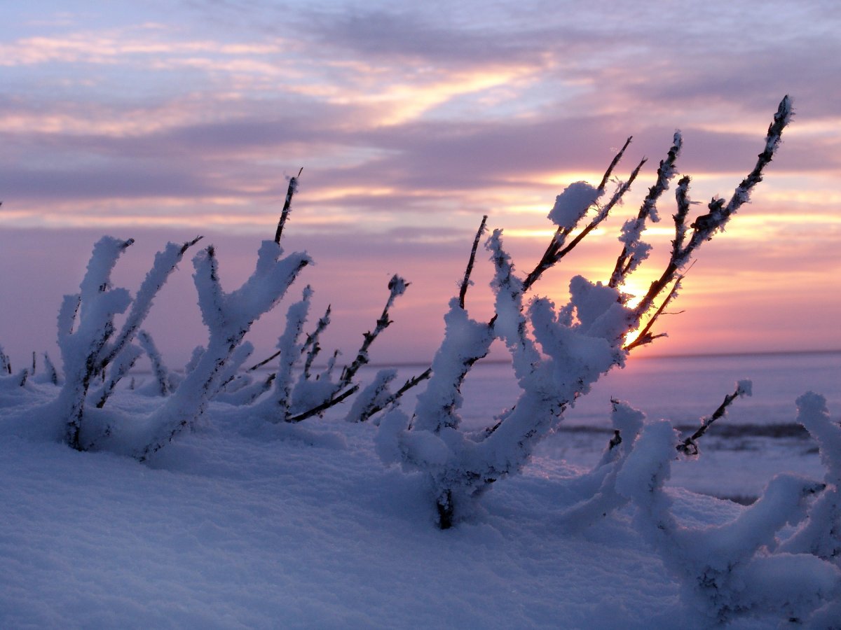 Природа Сибири Енисей зимой