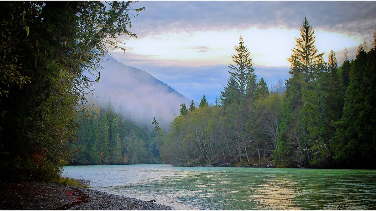 Улаганское Нагорье горный Алтай