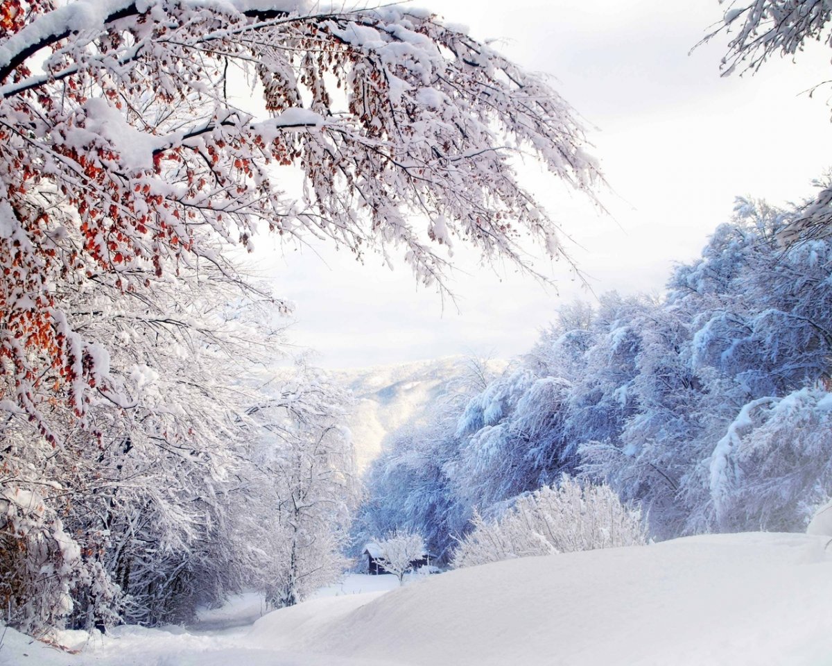 Зимний пейзаж