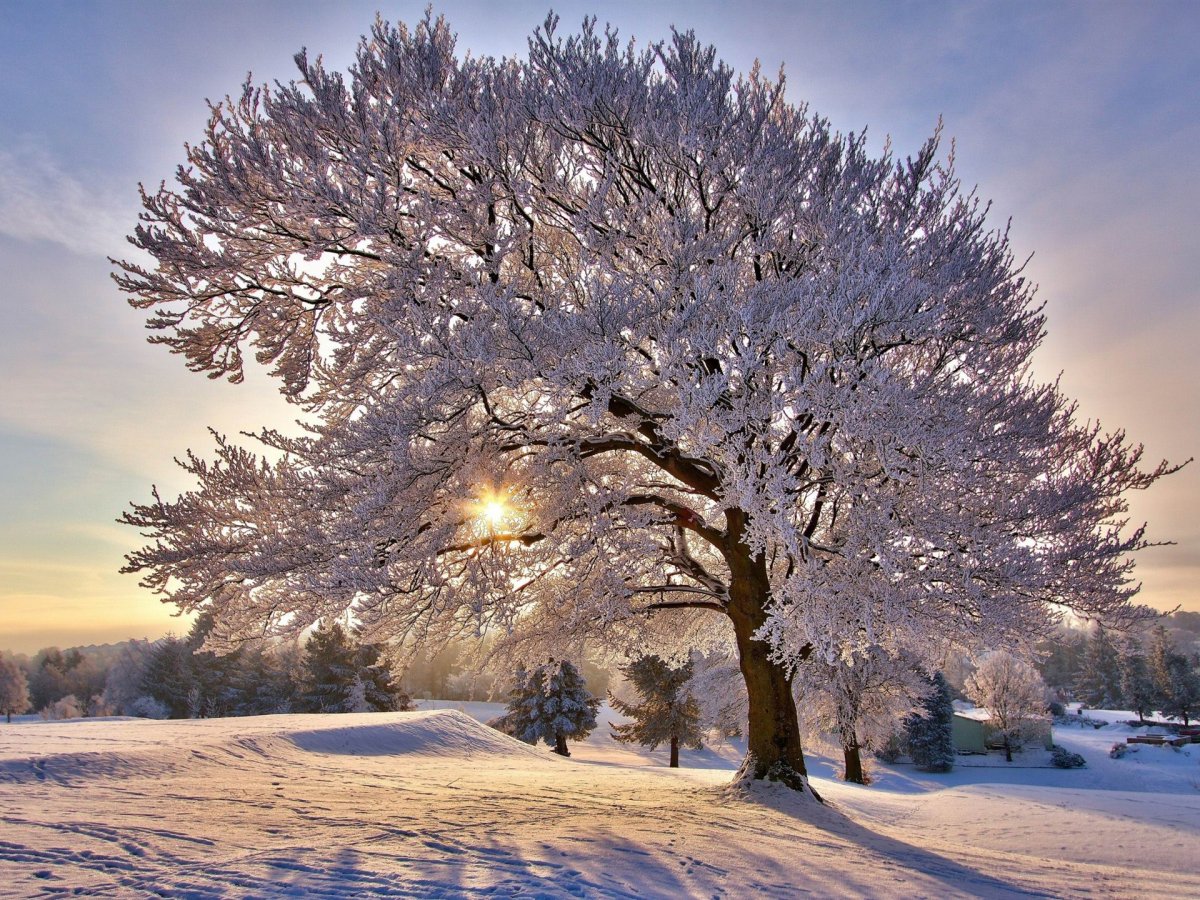 Зимняя природа