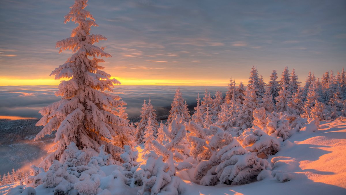 Зимний закат