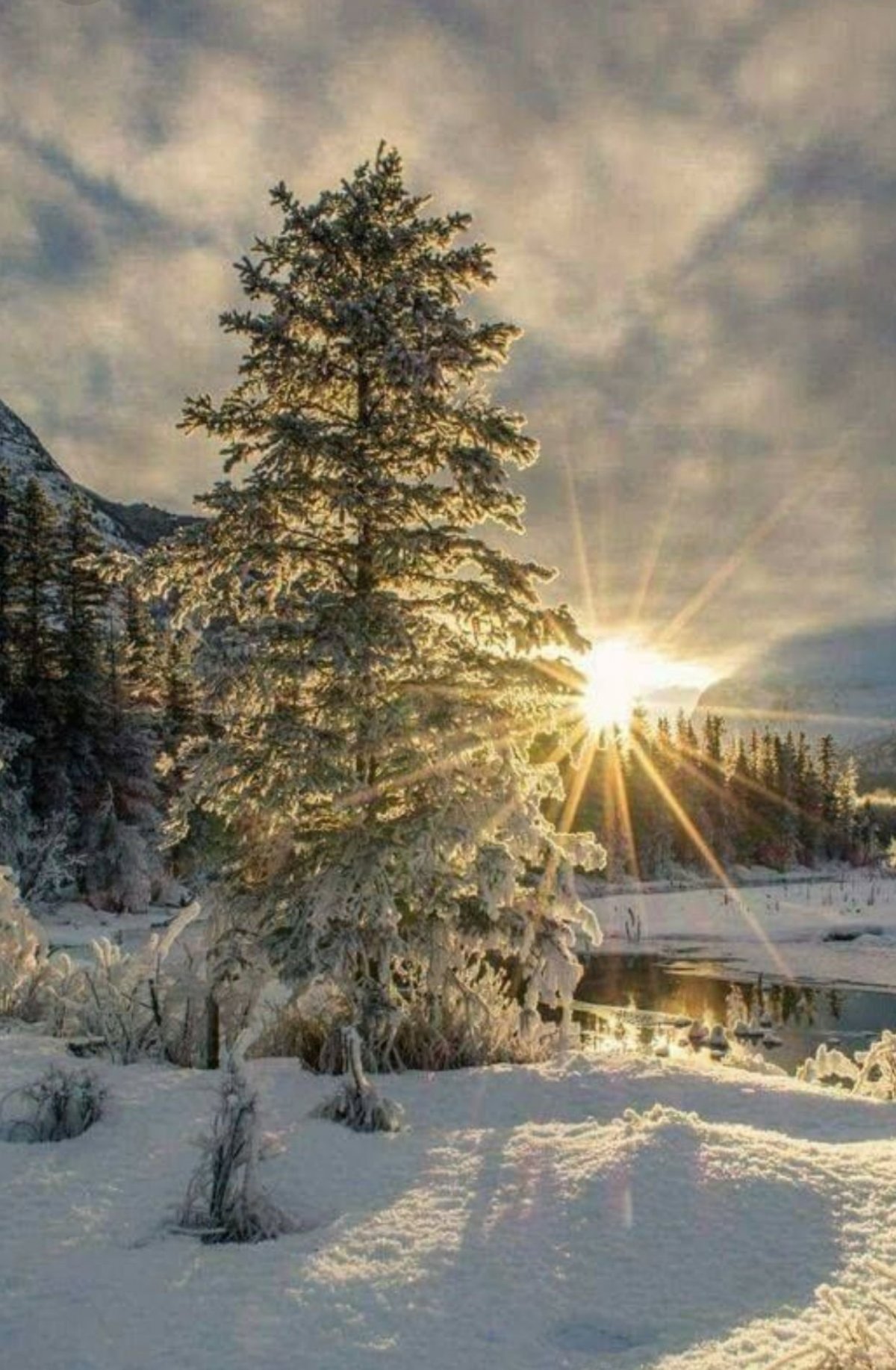 Прекрасные зимние пейзажи