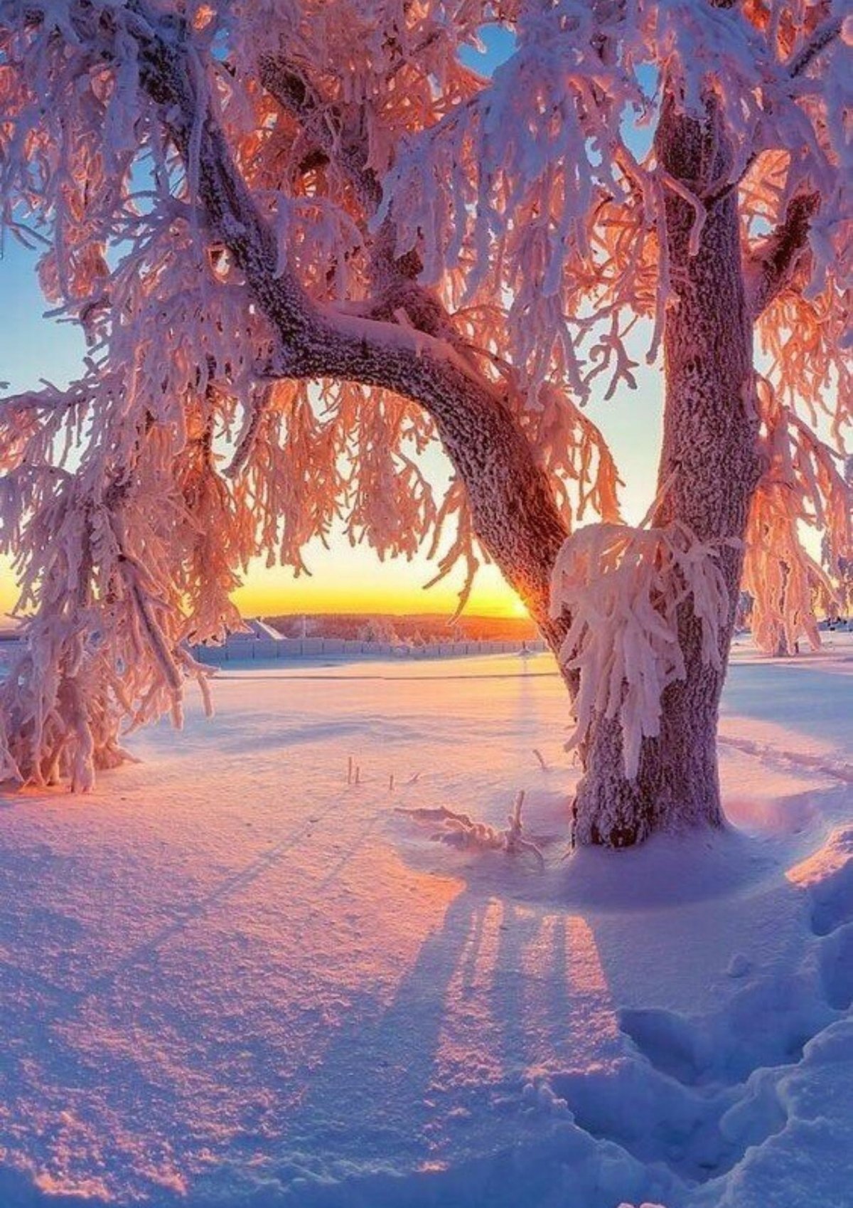 Красивые пейзажи зимой