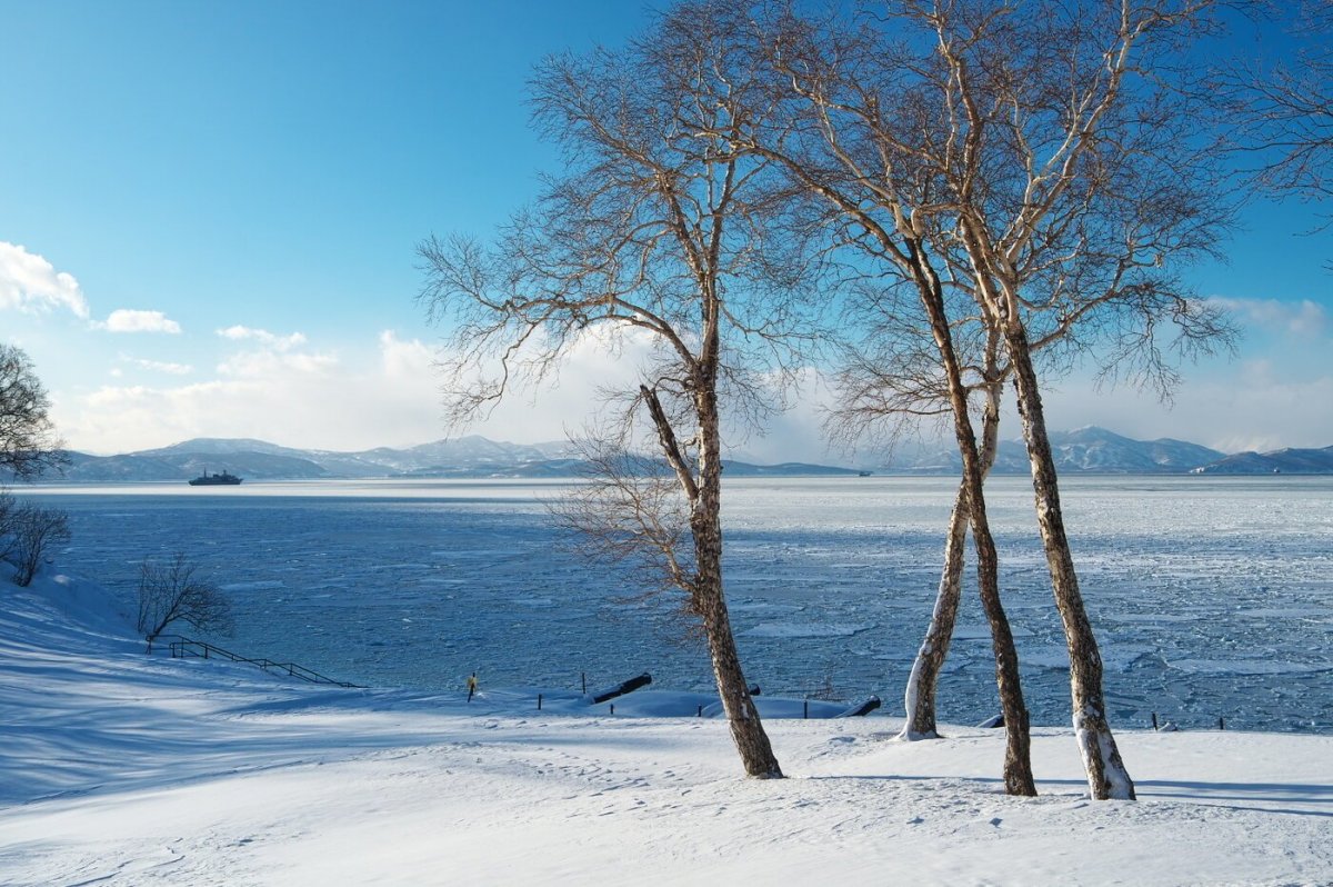 Петропавловск Камчатский зима