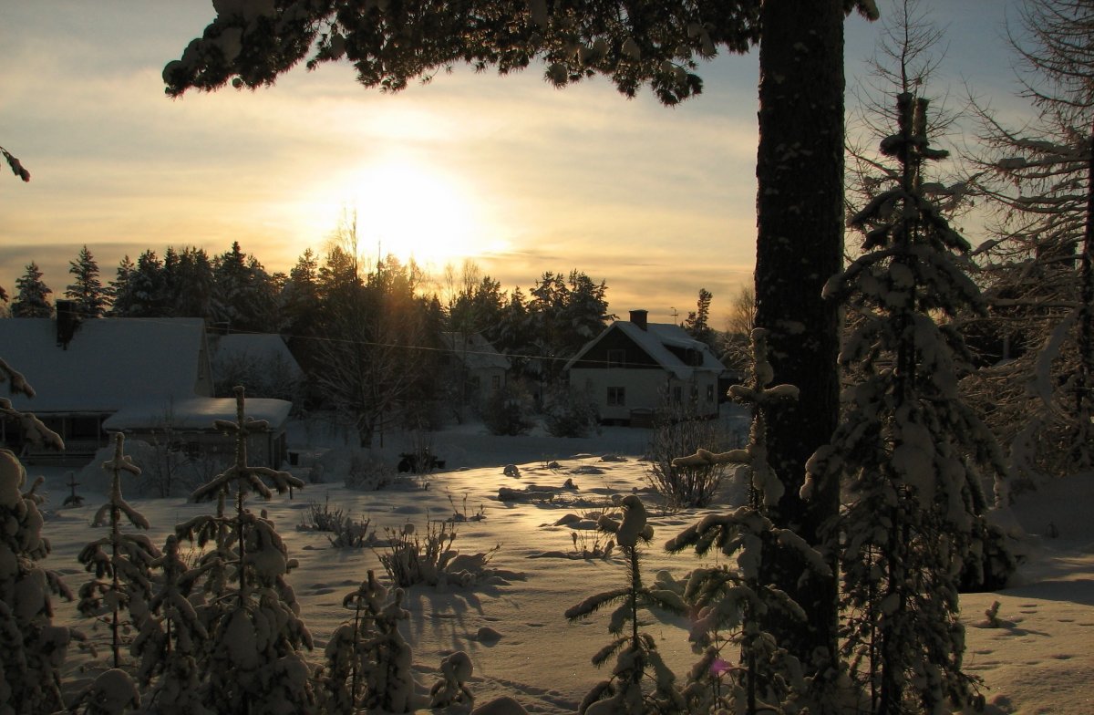 Зима лес деревня