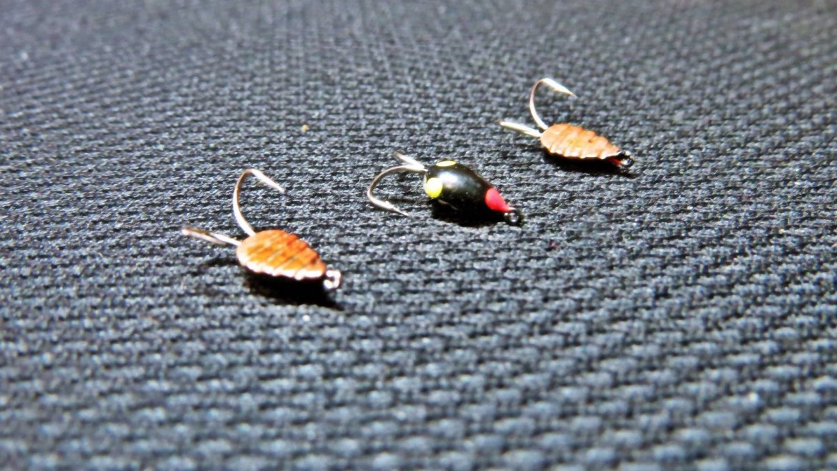 Безнасадочные мормышки для зимней рыбалки на плотву