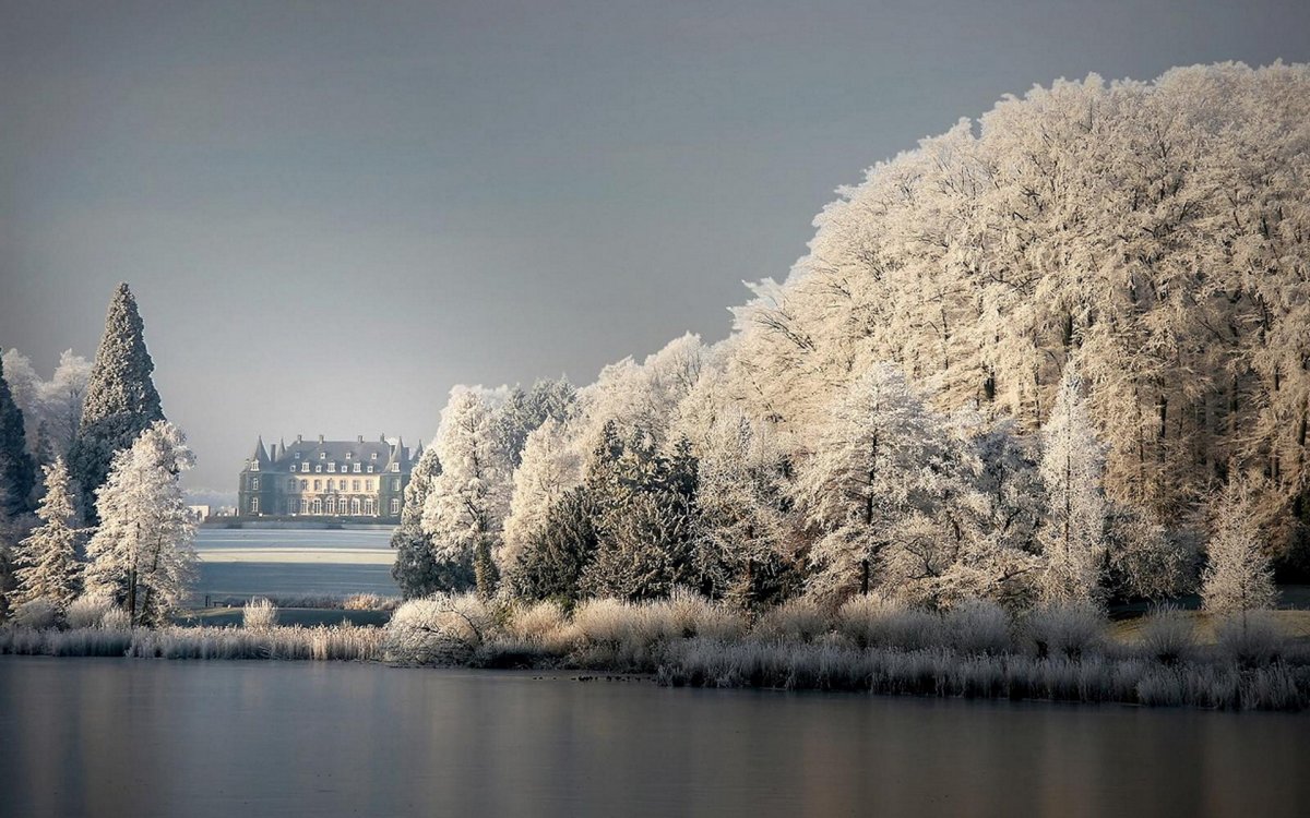 Зима природа город