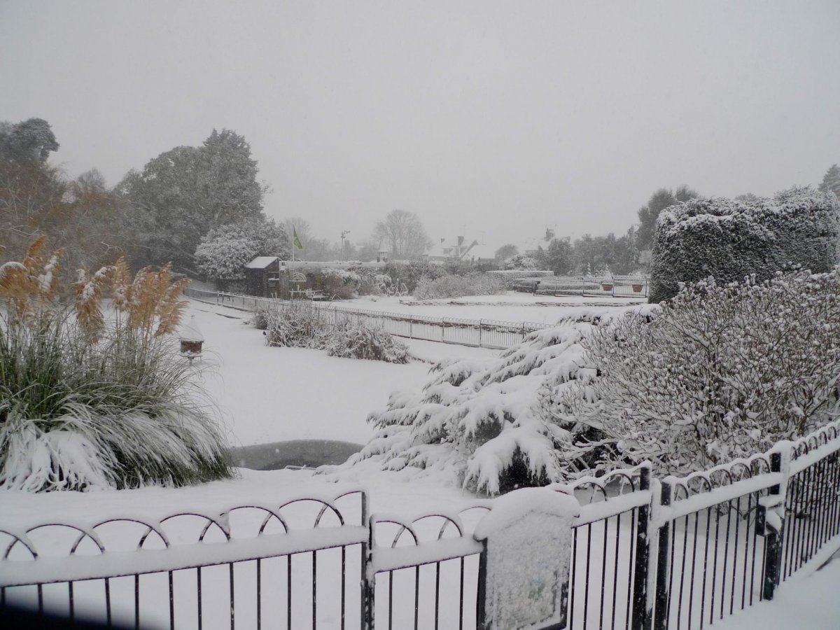 Природа Англии зимой