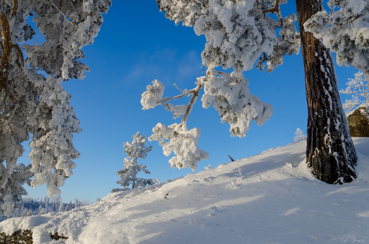 Настоящие зимние пейзажи