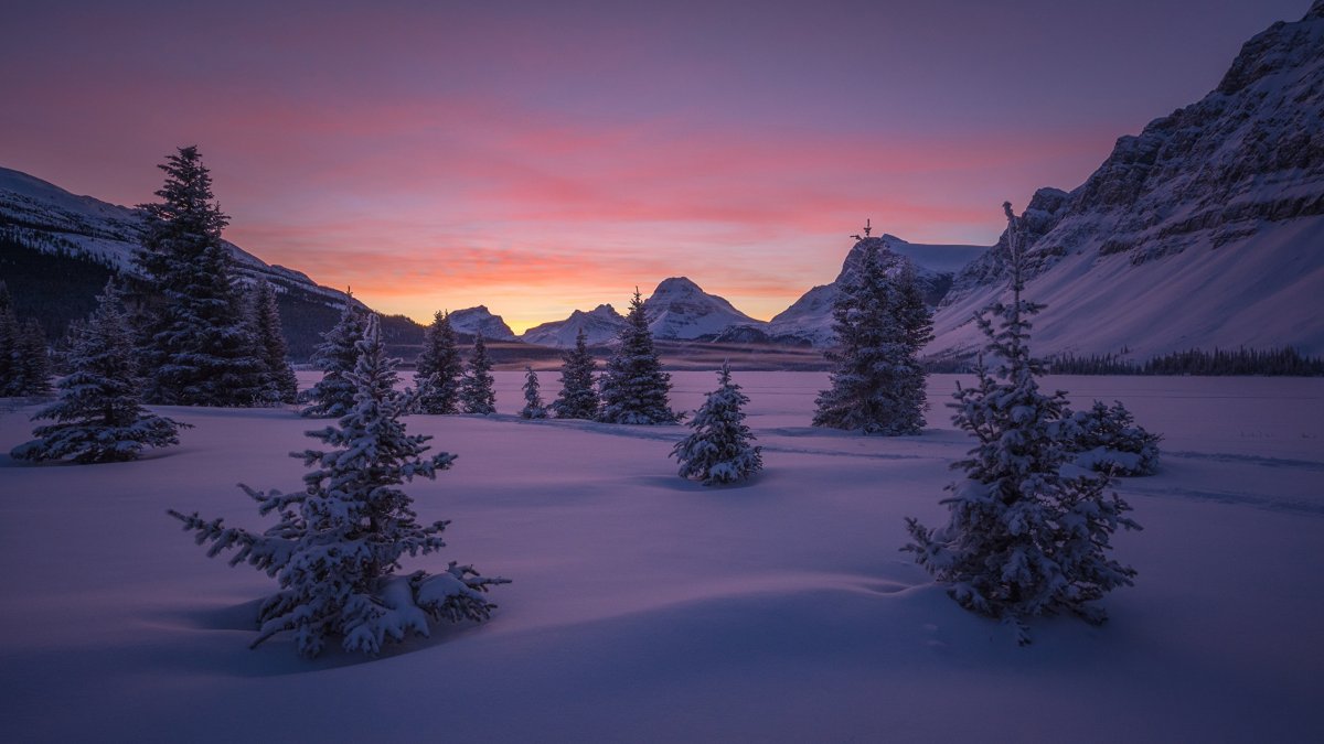 Красивый пейзаж