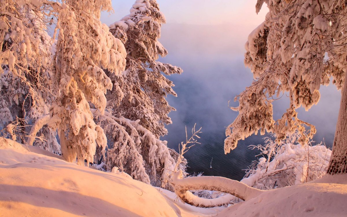 Снежная зима