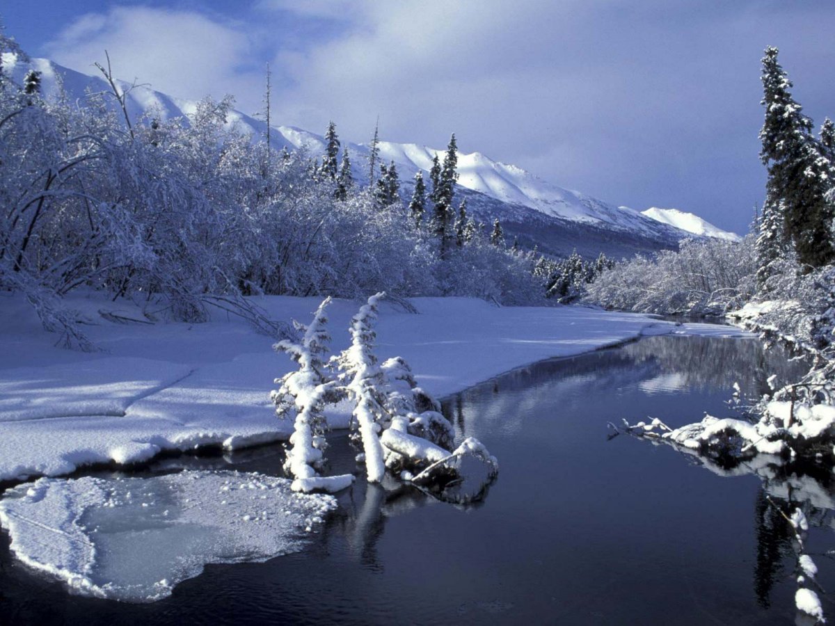 Зимний пейзаж Аляски