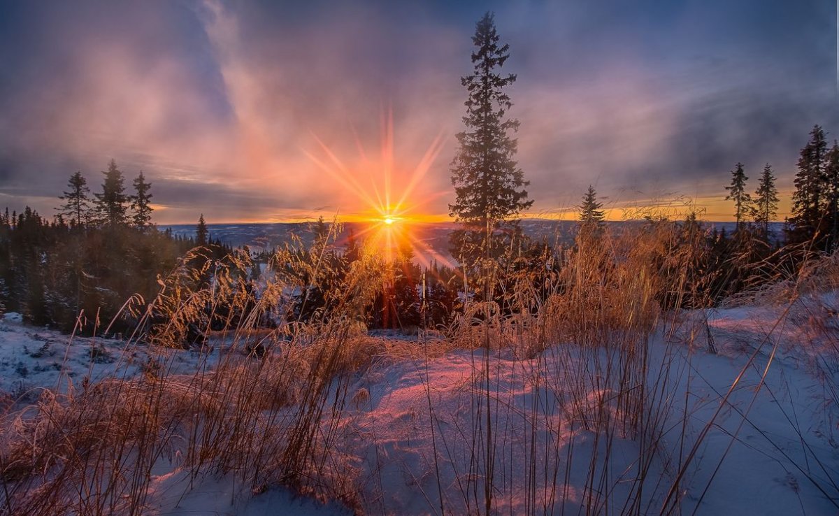 Jorn Allan Pedersen(Норвегия)