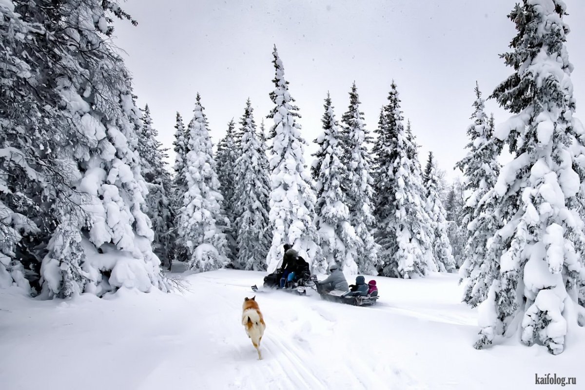 Таганай национальный парк зимой