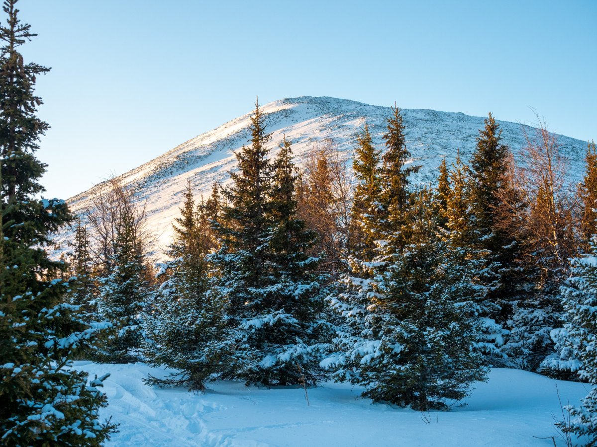 Иремель чёрно белые фото 1990 год