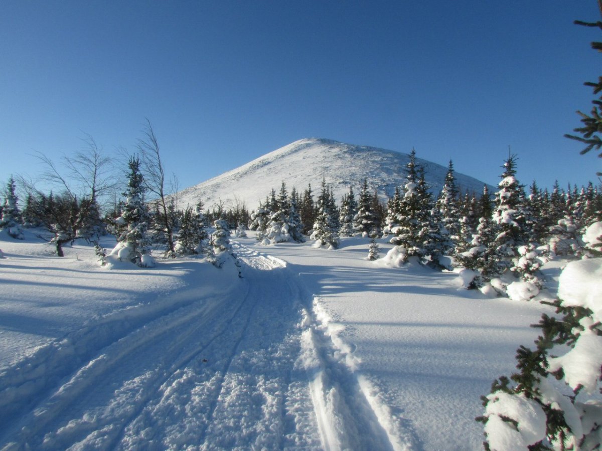 Гора Ялангас Белорецк