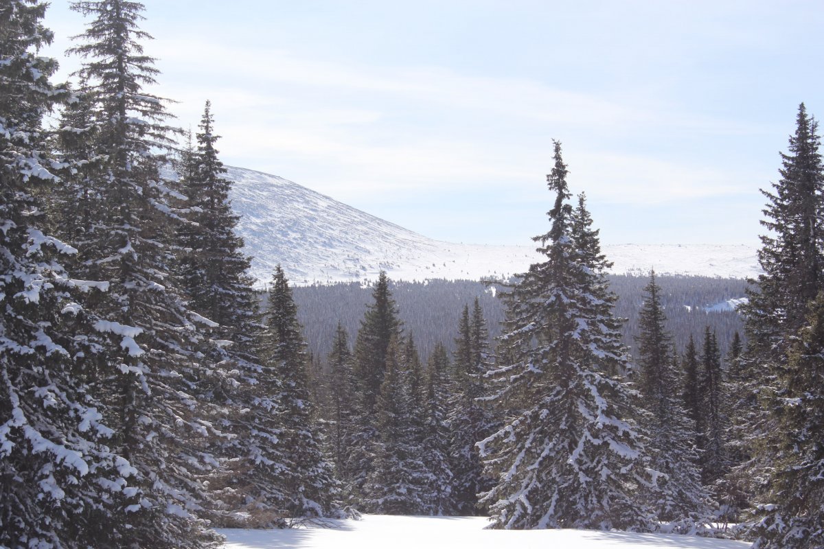 Святая гора Иремель