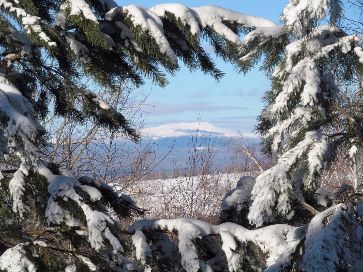 Иремель зима курумники