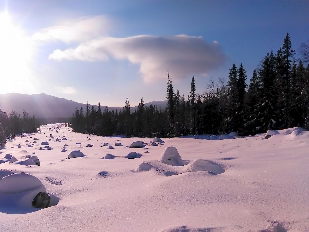 Дикая природа Башкирии зима