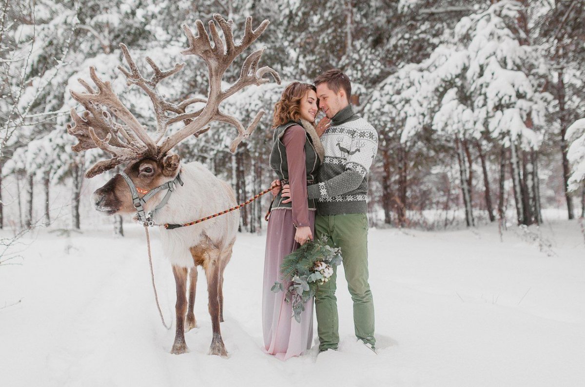 Зимняя фотосессия с оленем