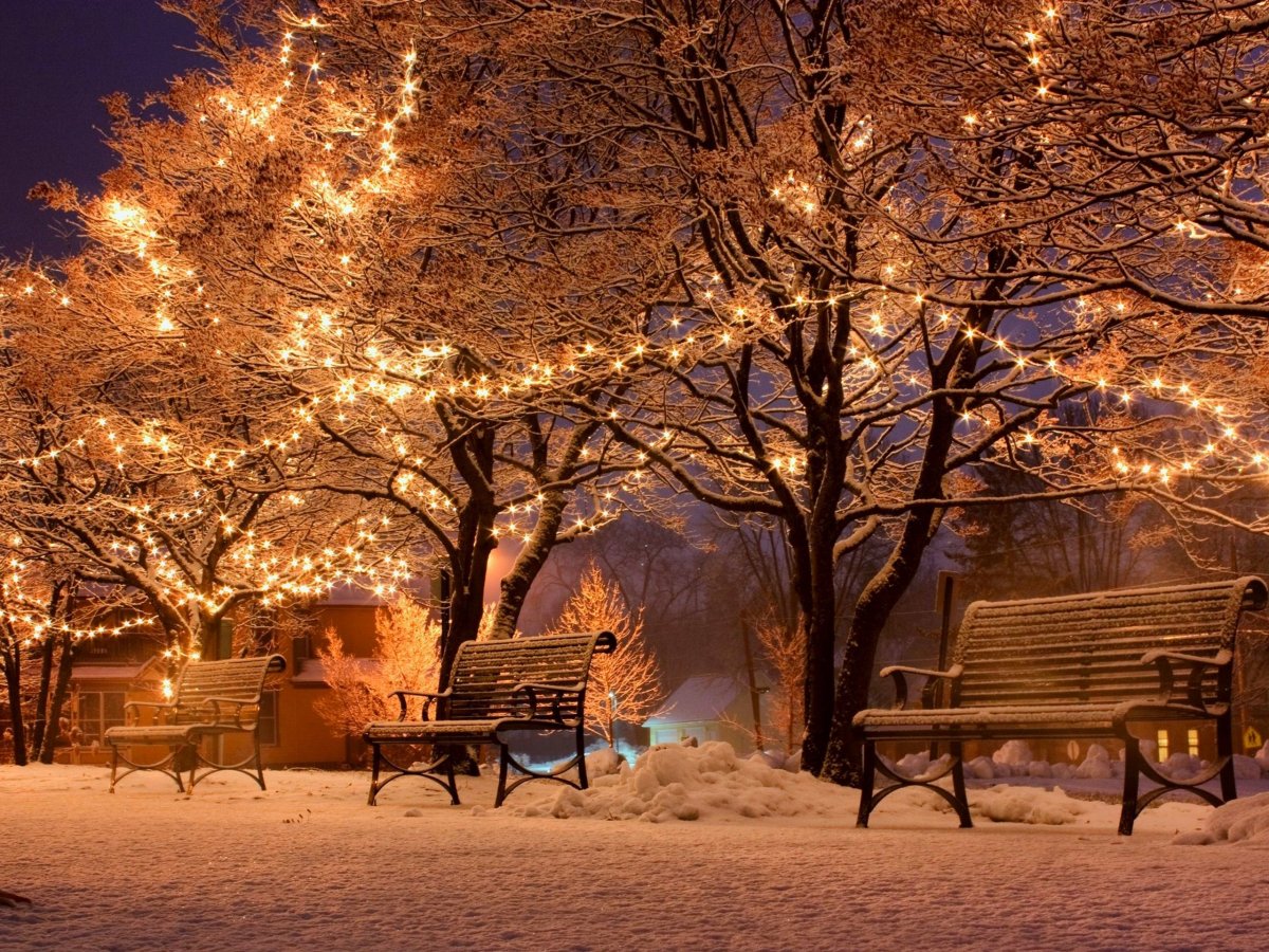 Зимний парк