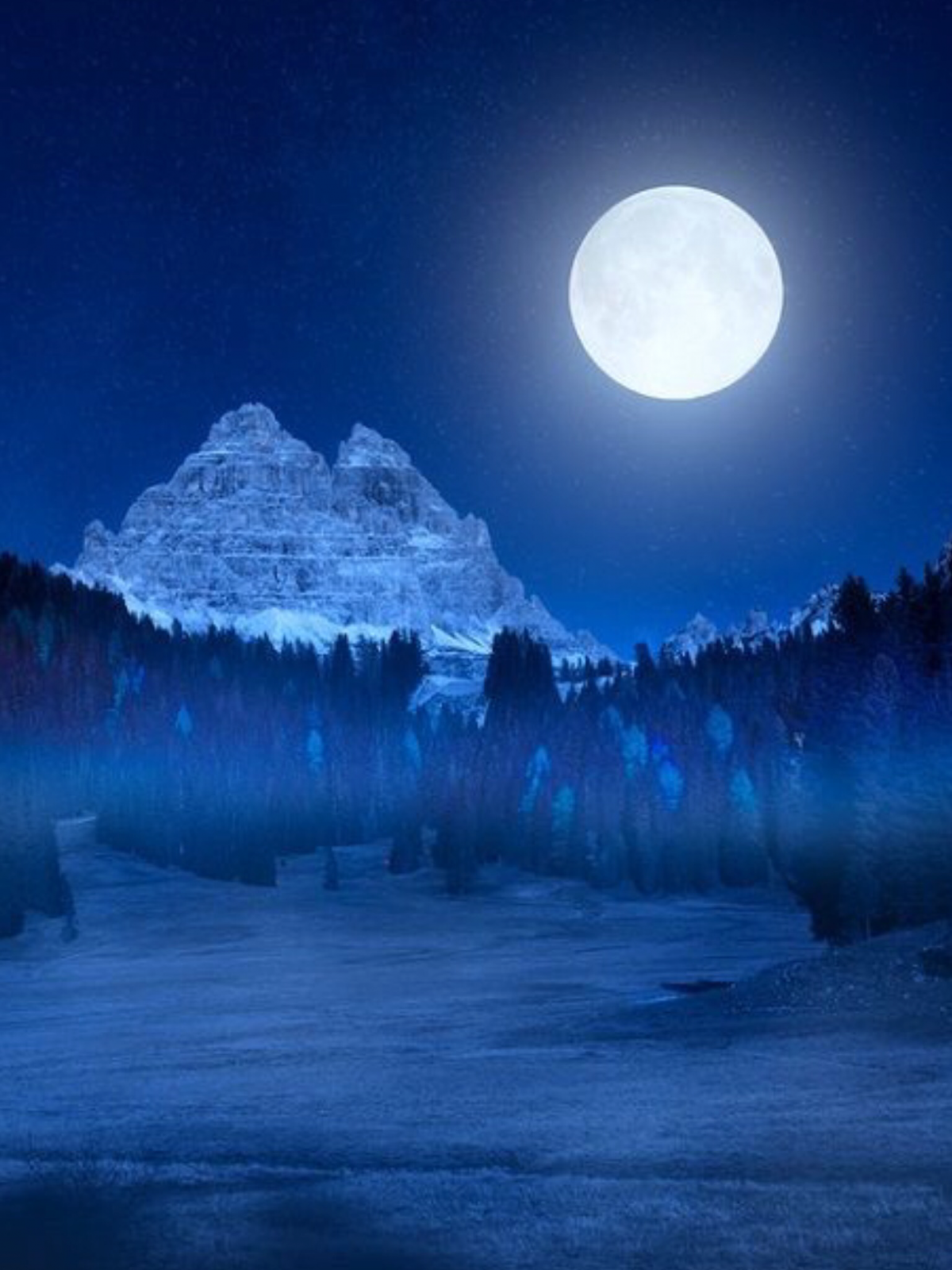 Лунная зимняя ночь