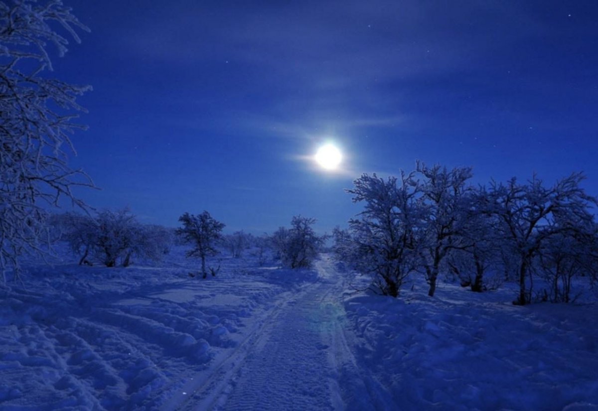 Морозная зимняя ночь