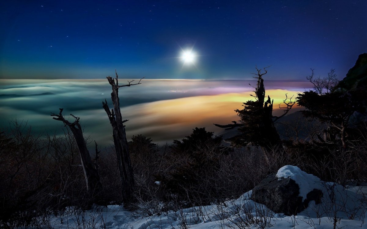 Лунный свет пейзаж